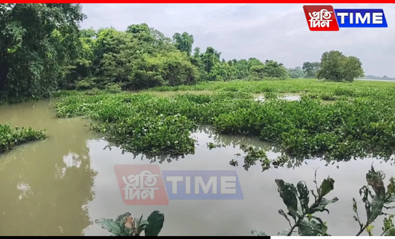 Assam Flood Situation Improves, Nagaon District Still Most Affected